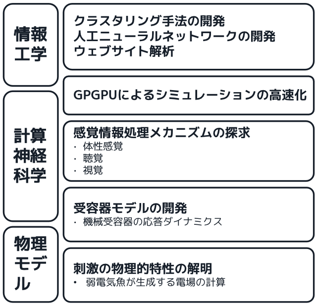 研究分野